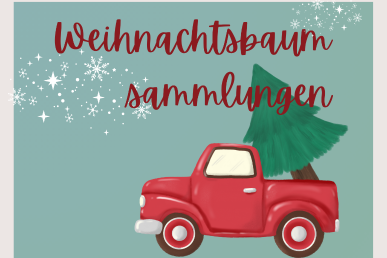 Weihnachtsbaumsammlungen 10.01.2026